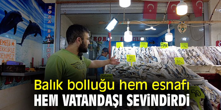 Balık bolluğu hem esnafı hem vatandaşı sevindirdi