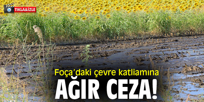 Foça'daki çevre katliamına ağır ceza