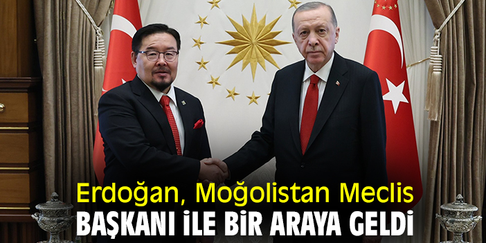 Erdoğan, Moğolistan Meclis Başkanı ile bir araya geldi