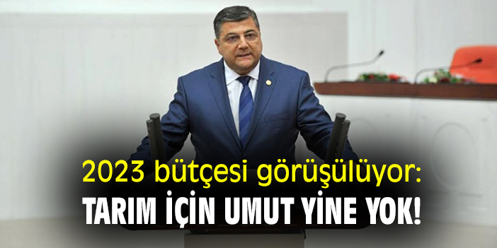 2023 bütçesi görüşülüyor: tarım için umut yine yok!