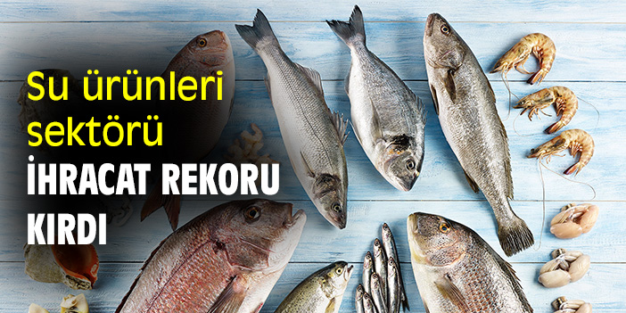 Su ürünleri sektörü ihracat rekoru kırdı