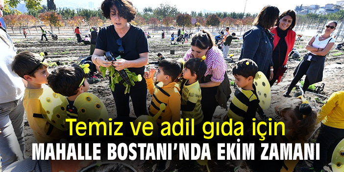 Temiz ve adil gıda için Mahalle Bostanı'nda ekim zamanı!