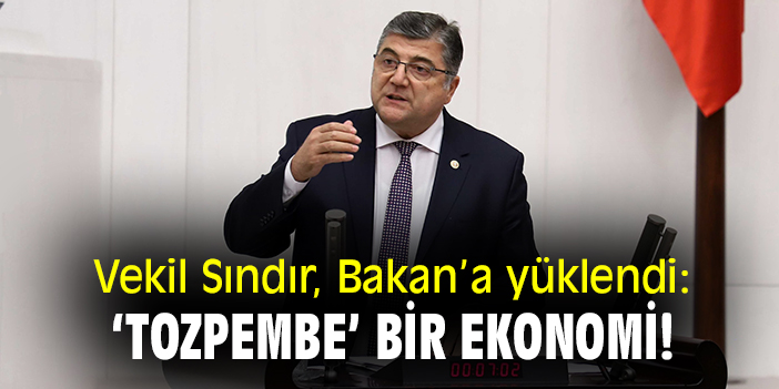 Vekil Sındır, Bakan'a yüklendi:  'Tozpembe' bir ekonomi!