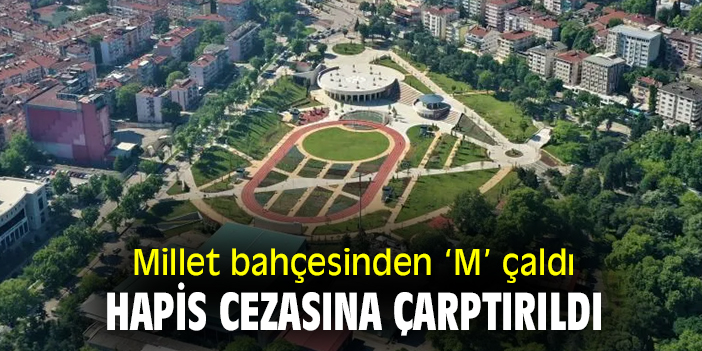 Millet Bahçesinden 'M' çaldı, hapis cezasına çarptırıldı