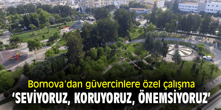 Bornova’dan güvercinlere özel çalışma: ‘Seviyoruz, koruyoruz, önemsiyoruz’