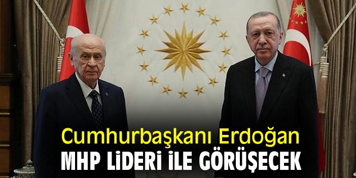 Cumhurbaşkanı Erdoğan, MHP lideri ile görüşecek