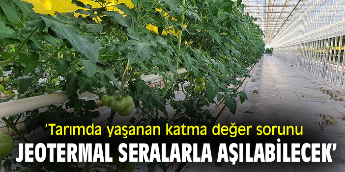 ‘Tarımda yaşanan katma değer sorunu jeotermal seralarla aşılabilecek’