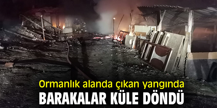 Ormanlık alanda çıkan yangında barakalar küle döndü