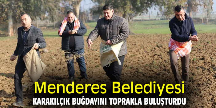 Menderes Belediyesi karakılçık buğdayını toprakla buluşturdu