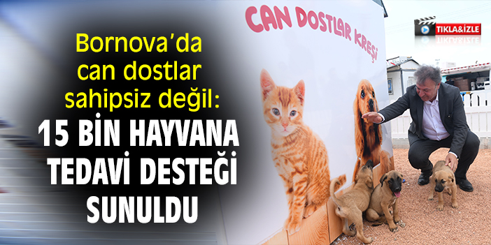 Bornova’da can dostlar sahipsiz değil: 15 bin hayvana tedavi desteği sunuldu