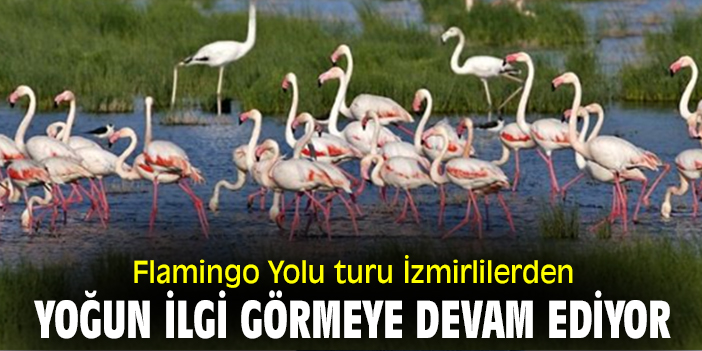 Flamingo Yolu turu İzmirlilerden yoğun ilgi görmeye devam ediyor