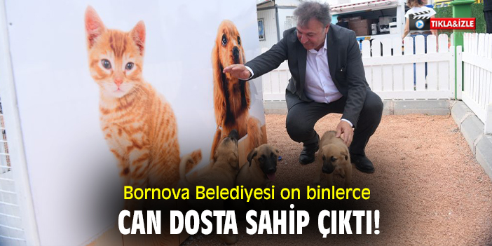 Bornova Belediyesi on binlerce can dosta sahip çıktı!