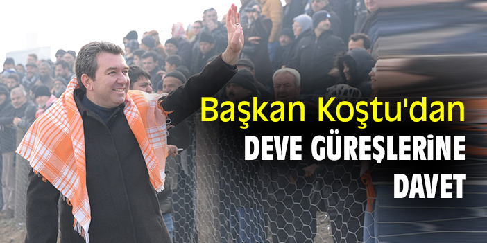 Bergama Belediye Başkanı Koştu'dan deve güreşlerine davet