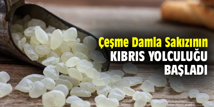 Çeşme Damla Sakızının Kıbrıs yolculuğu başladı