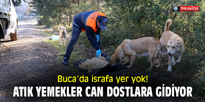 Buca’da israfa yer yok! Atık yemekler can dostlara gidiyor