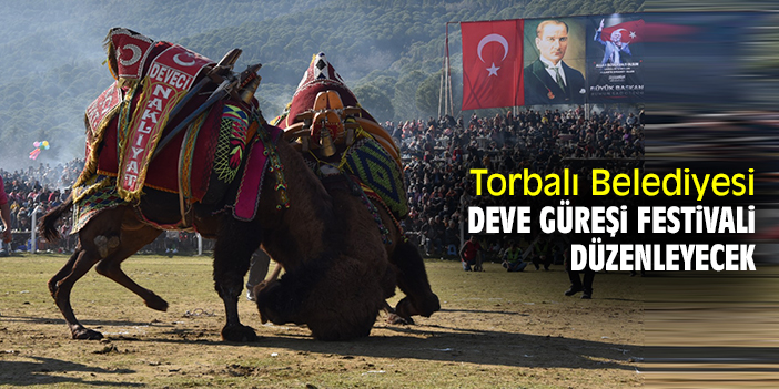 Torbalı Belediyesi Deve Güreşi Festivali düzenleyecek