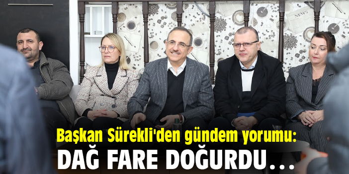 Başkan Sürekli'den gündem yorumu: Dağ fare doğurdu…
