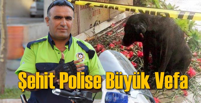 İzmir'in Şehit Polisine Büyük Vefa