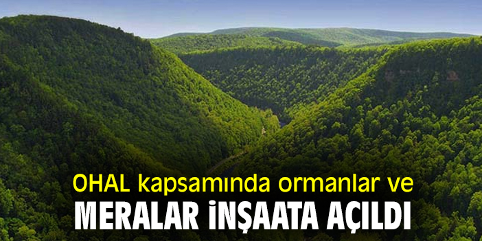 OHAL kapsamında ormanlar ve meralar inşaata açıldı