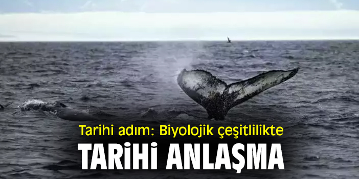 Tarihi adım: Biyolojik çeşitlilikte tarihi anlaşma