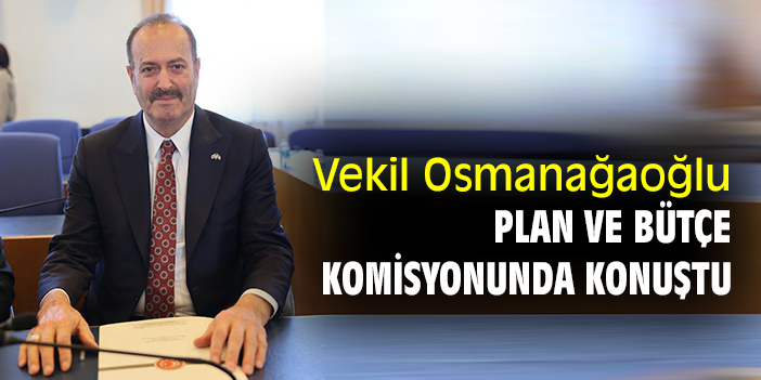 Vekil Osmanağaoğlu, Plan ve Bütçe Komisyonunda konuştu