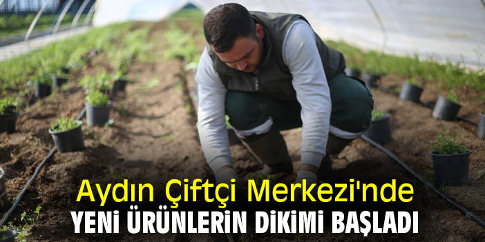 Aydın Çiftçi Merkezi'nde yeni ürünlerin dikimi başladı