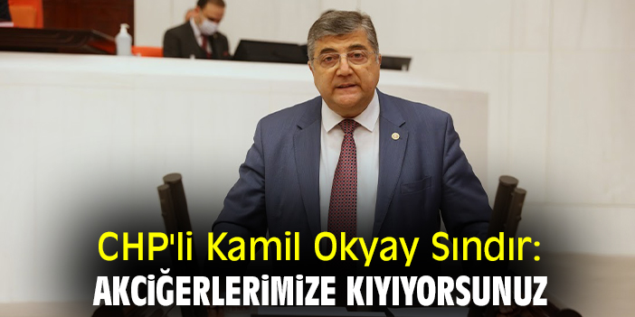 CHP'li Kamil Okyay Sındır: Akciğerlerimize kıyıyorsunuz