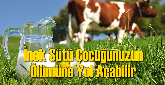 İnek Sütü Çocuğunuzun Ölümüne Yol Açabilir