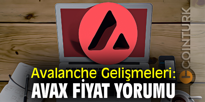 Avalanche Gelişmeleri: AVAX Fiyat Yorumu