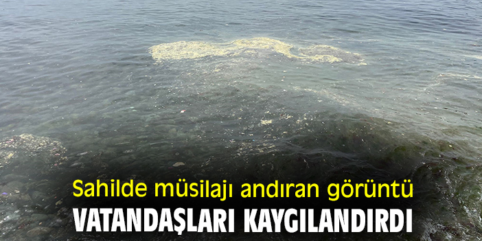 Sahilde müsilajı andıran görüntü vatandaşları kaygılandırdı