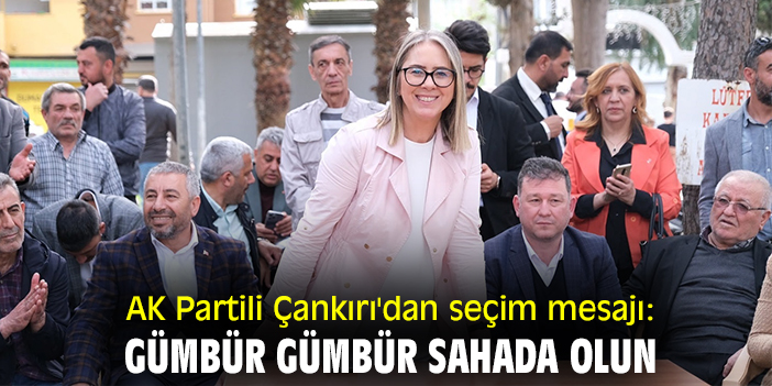 AK Partili Çankırı'dan seçim mesajı: Gümbür gümbür sahada olun