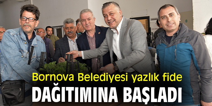 Bornova Belediyesi yazlık fide dağıtımına başladı