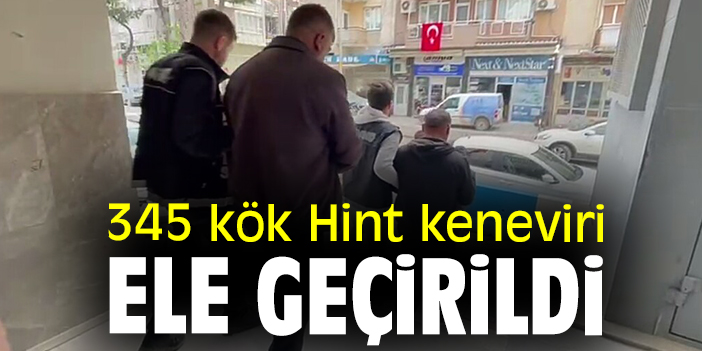345 kök Hint keneviri ele geçirildi