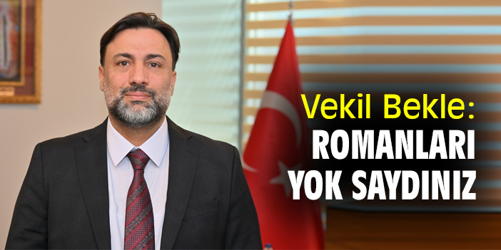 Vekil Bekle: Romanları yok saydınız