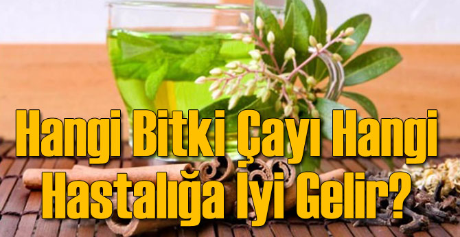 Hangi Bitki Çayı Hangi Hastalığa İyi Gelir?