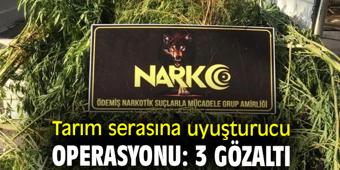 Tarım serasına uyuşturucu operasyonu: 3 gözaltı