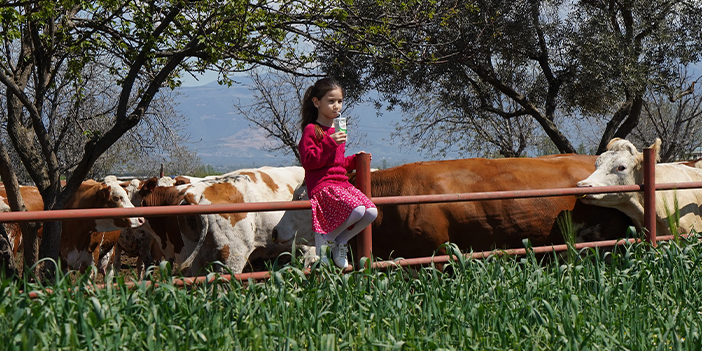Sınırları aşan marka: Pınar Süt