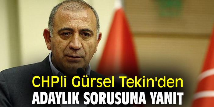 CHPli Gürsel Tekin'den adaylık sorusuna yanıt