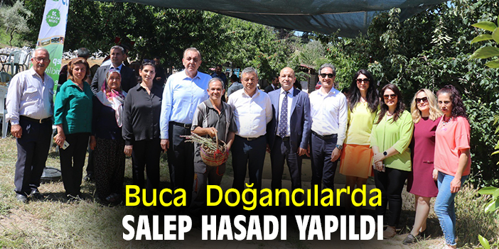 Buca Doğancılar'da salep hasadı yapıldı
