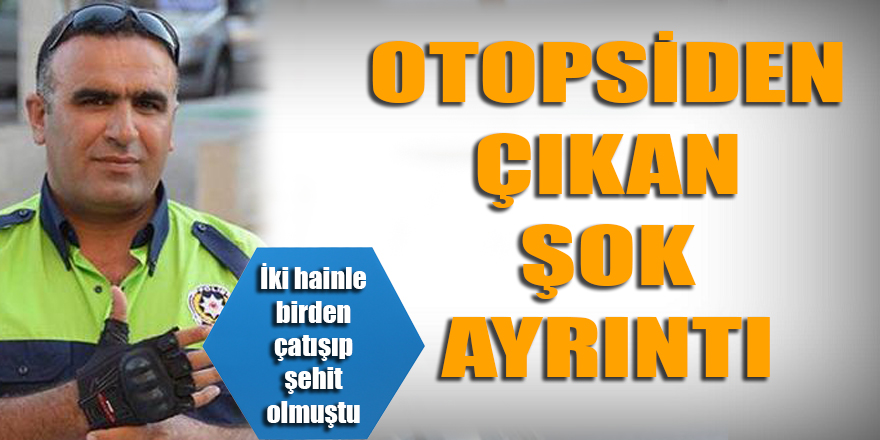 Şehit Fethi Sekin'in otopsisinde şok ayrıntı!