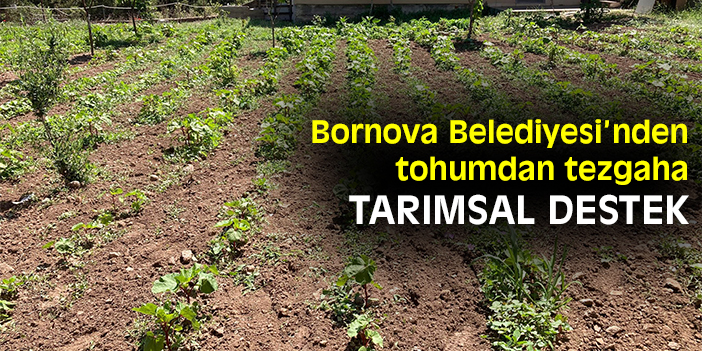 Bornova Belediyesi’nden tohumdan tezgaha tarımsal destek