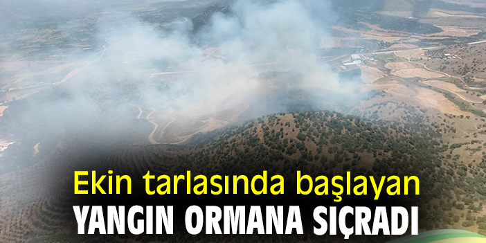 Ekin tarlasında başlayan yangın ormana sıçradı
