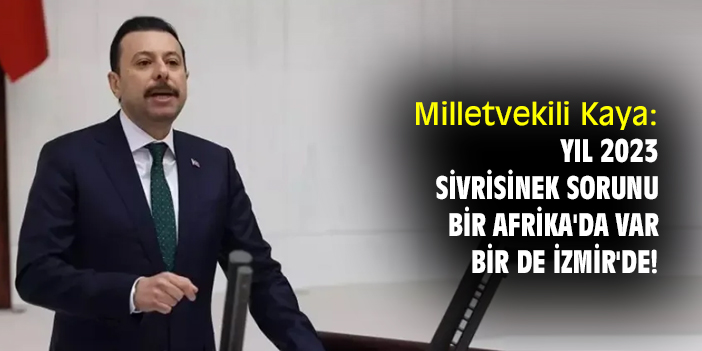 Milletvekili Kaya: Yıl 2023, sivrisinek sorunu bir Afrika'da var, bir de İzmir'de!