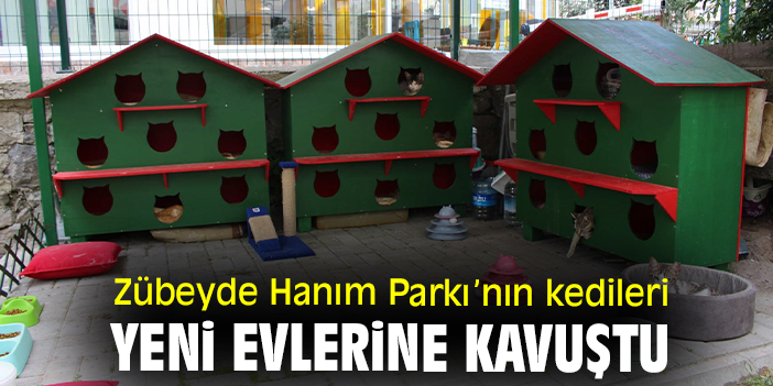 Zübeyde Hanım Parkı’nın kedileri yeni evlerine kavuştu