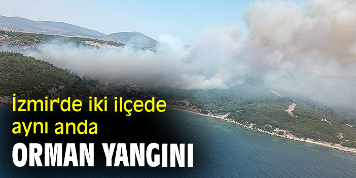 İzmir'de iki ilçede aynı anda orman yangını