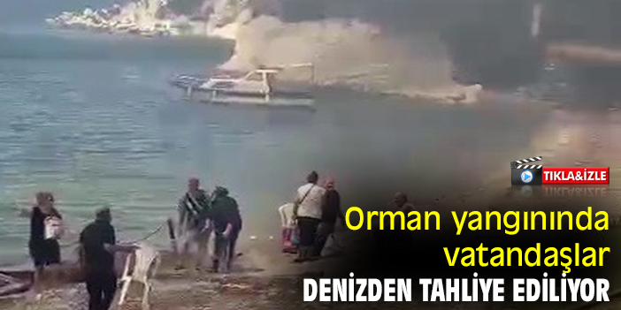 Orman yangınında vatandaşlar denizden tahliye ediliyor
