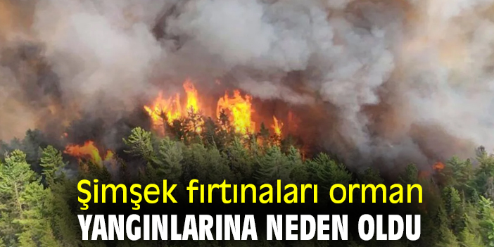 Şimşek fırtınaları orman yangınlarına neden oldu