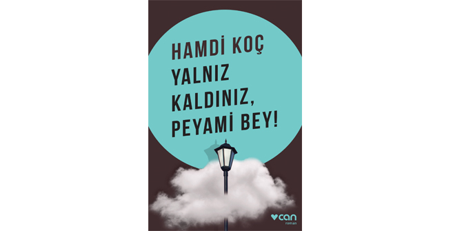 Yalnız Kaldınız, Peyami Bey!