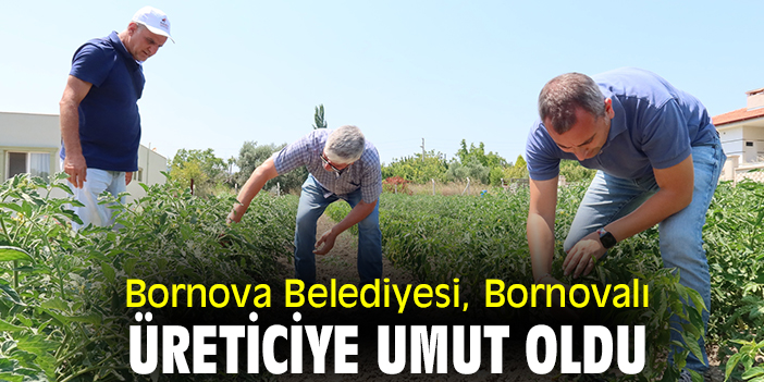 Bornova Belediyesi, Bornovalı üreticiye umut oldu