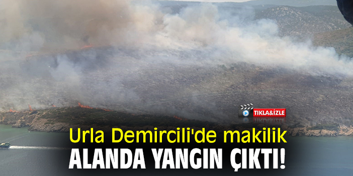 Urla Demircili'de makilik alanda yangın çıktı!